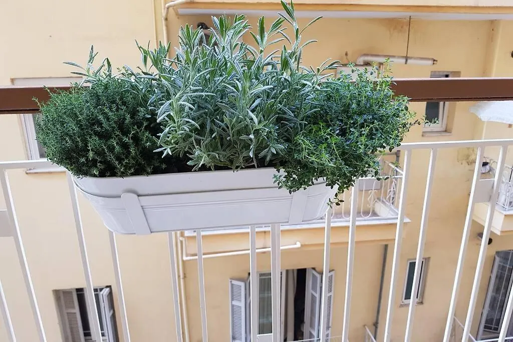 Thessaloniki City Center Vibes Seaside Apartment 0*,